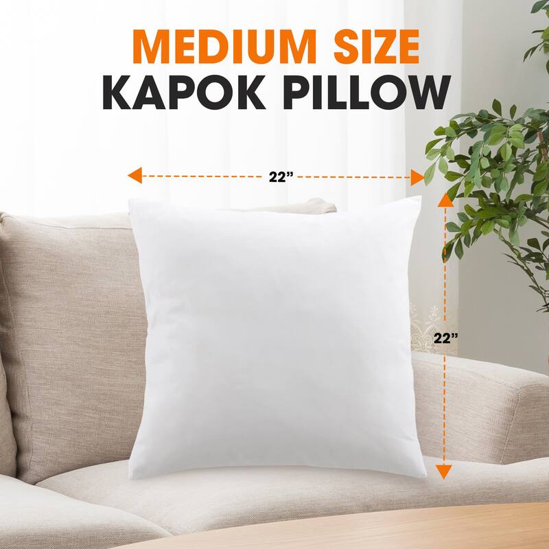 Cheer Collection Set of 2 Natural Kapok Fiber Throw Pillows