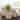 Plastic Boho Storage Basket (Set of 3) - 18", 17", 16"H