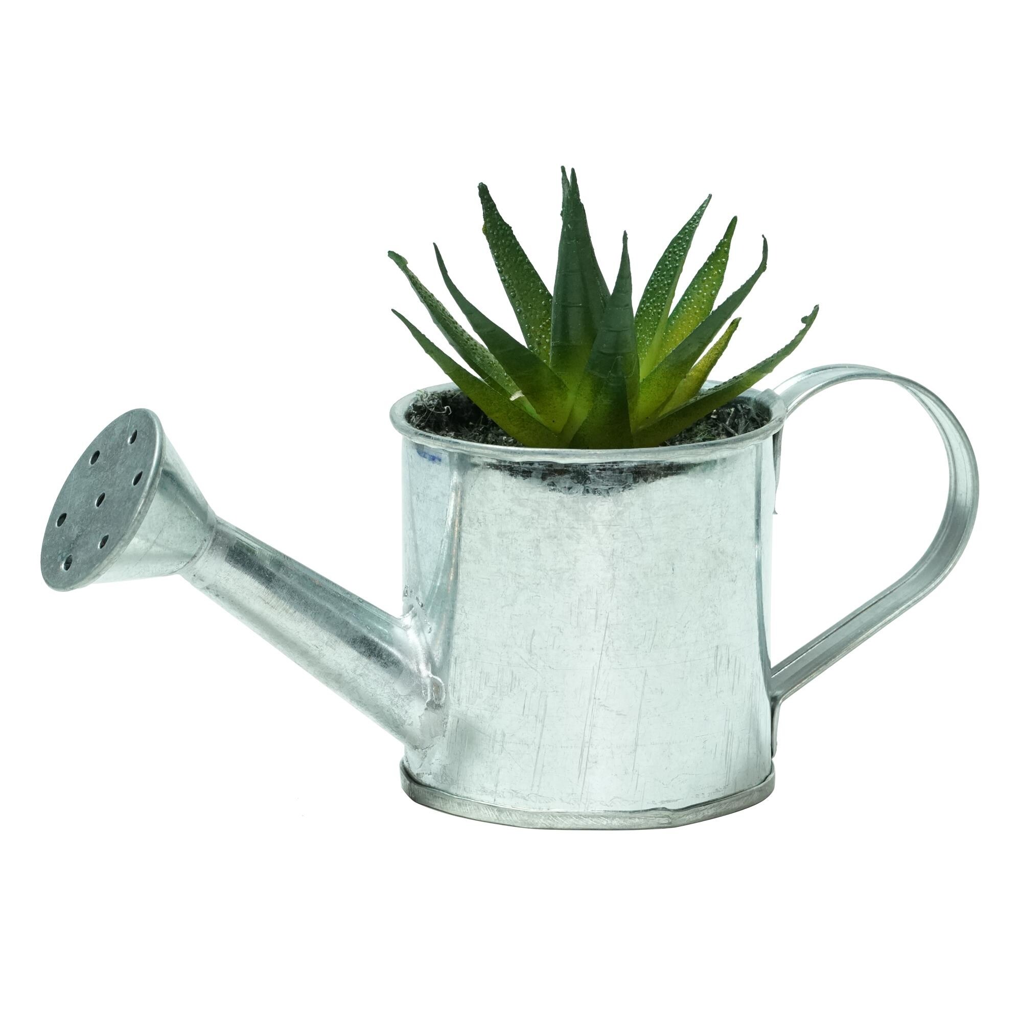 6 Silver Artificial Mini Aloe Vera Succulent Plant With Watering Can Overstock 21891640 There are 623 mini watering can for sale on etsy, and they cost $13.66 on average. 6 silver artificial mini aloe vera succulent plant with watering can