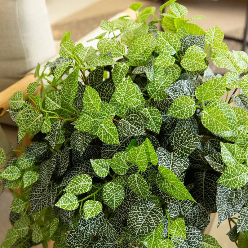 19-in UV Resistant Artificial Fittonia Bush - Set of 3