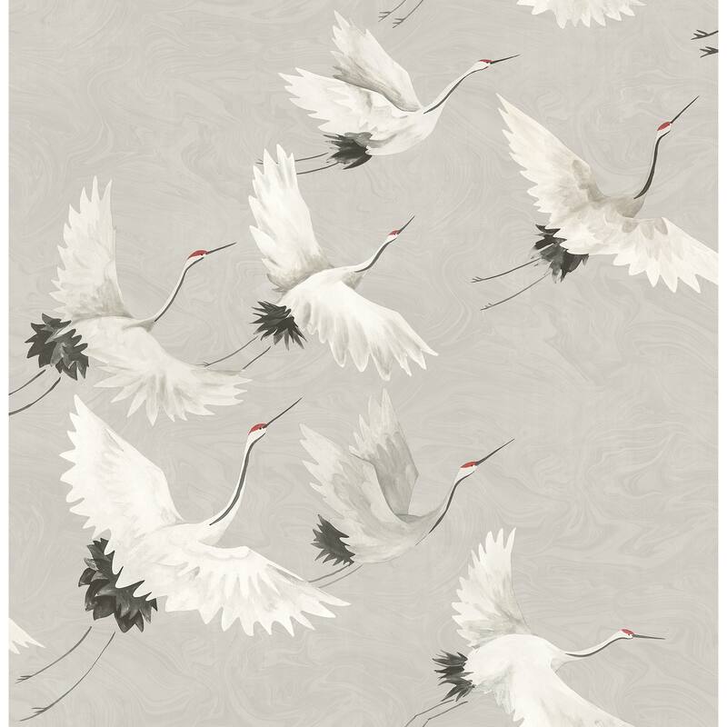 Birds McFarland Windsong Grey Bird 33' L X 20.5" W Wallpaper Roll - Grey