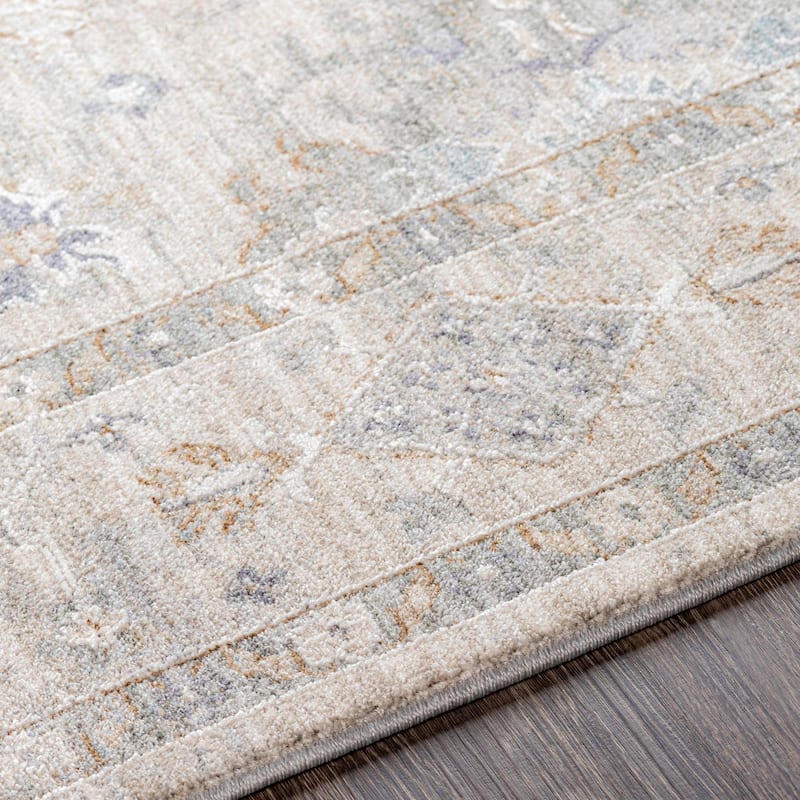 Hunza Updated Traditional Medallion Area Rug