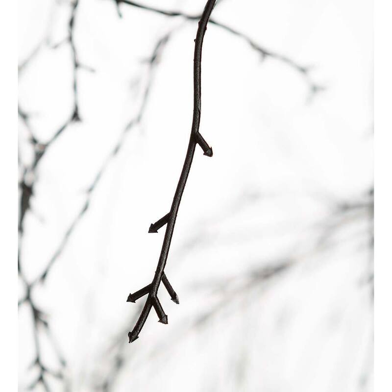 Indoor/Outdoor Electric Lighted Weep Willow Tree, 6' Tall