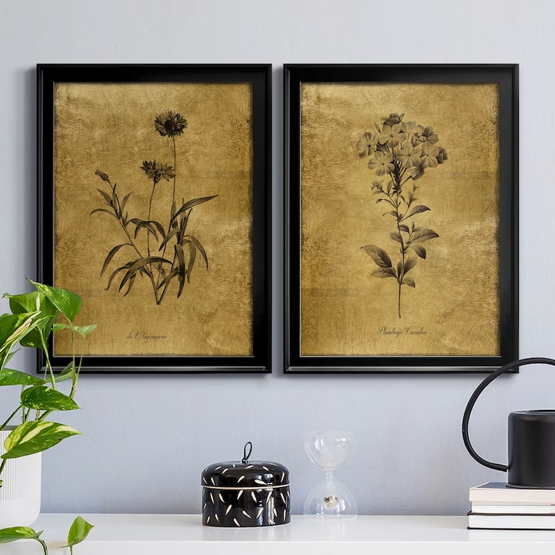 Gold Sketch Botanical I Premium Framed Print - Ready to Hang - Multi-Color