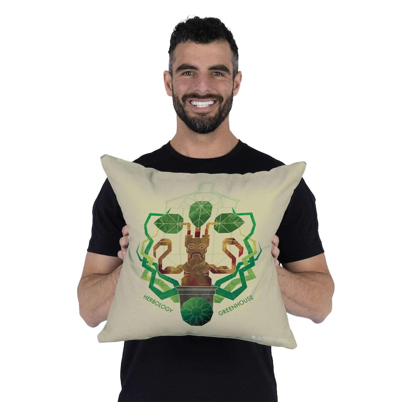 Warner Brothers Harry Potter Herbology Greenhouse 18 Inch Throw Pillow