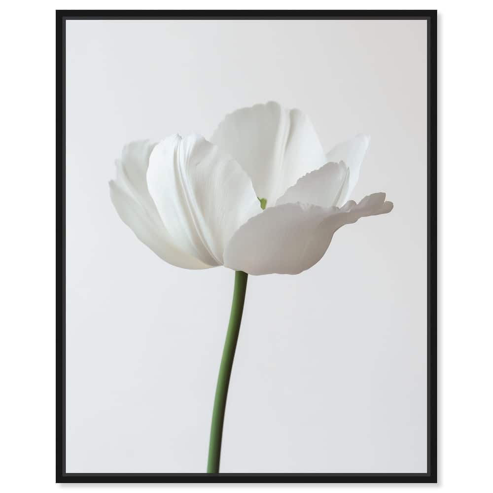 Pearl Floret Canvas by Art Remedy