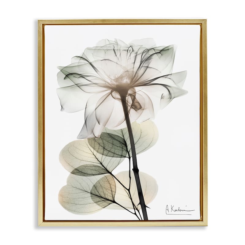 Stupell Modern Minimalist Buds Framed Floater Canvas Wall Art Design By Albert Koetsier - 25 x 31 - Gold