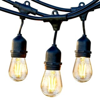 15 Plastic LED Bulbs, 48 Ft Commercial Grade 2W String Lights - 2500K