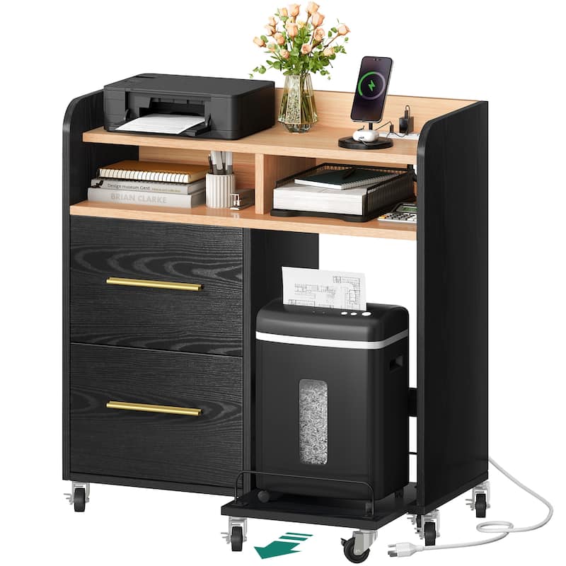 Moasis 2 Drawer Rolling File Cabinet with Printer Stand Cart for Home Office - Black