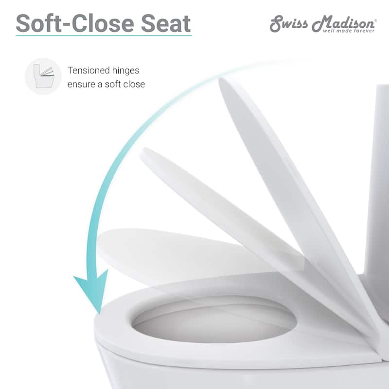 Bastille One-Piece Elongated Dual Flush Toilet 0.8/1.28 gpf