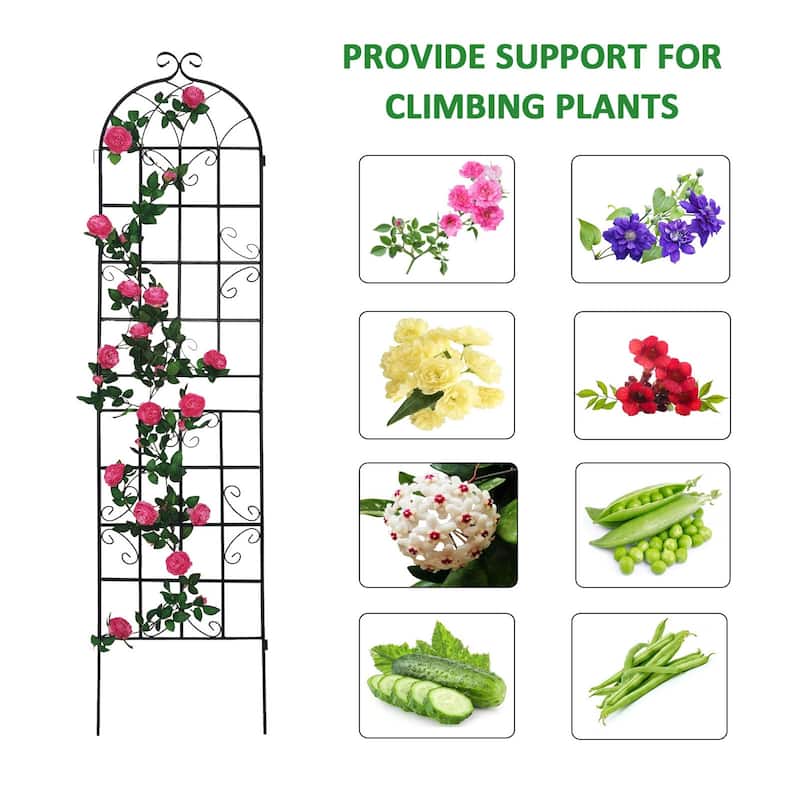 86.7'' x 19.7'' Garden Trellis for Garden Plants