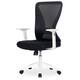 Option White/Black