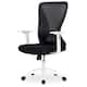 Option White/Black