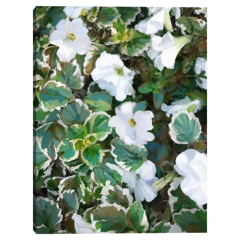 Petunia Garden by Studio Arts Canvas Art Print