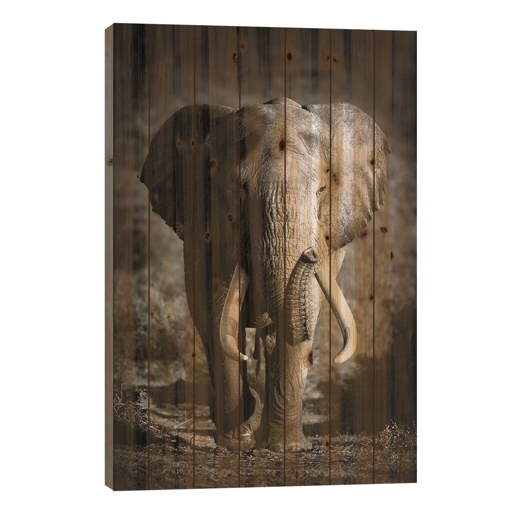 Elephant Bull Print On Wood by Johan Swanepoel - Multi-Color