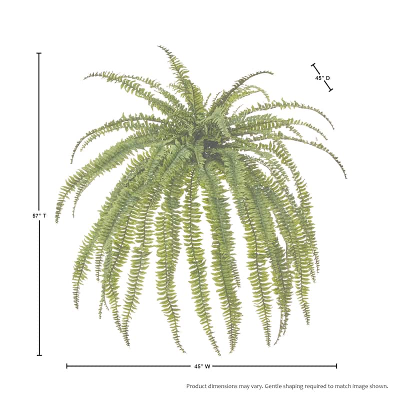 45"Wx57"L UV Jumbo Boston Fern