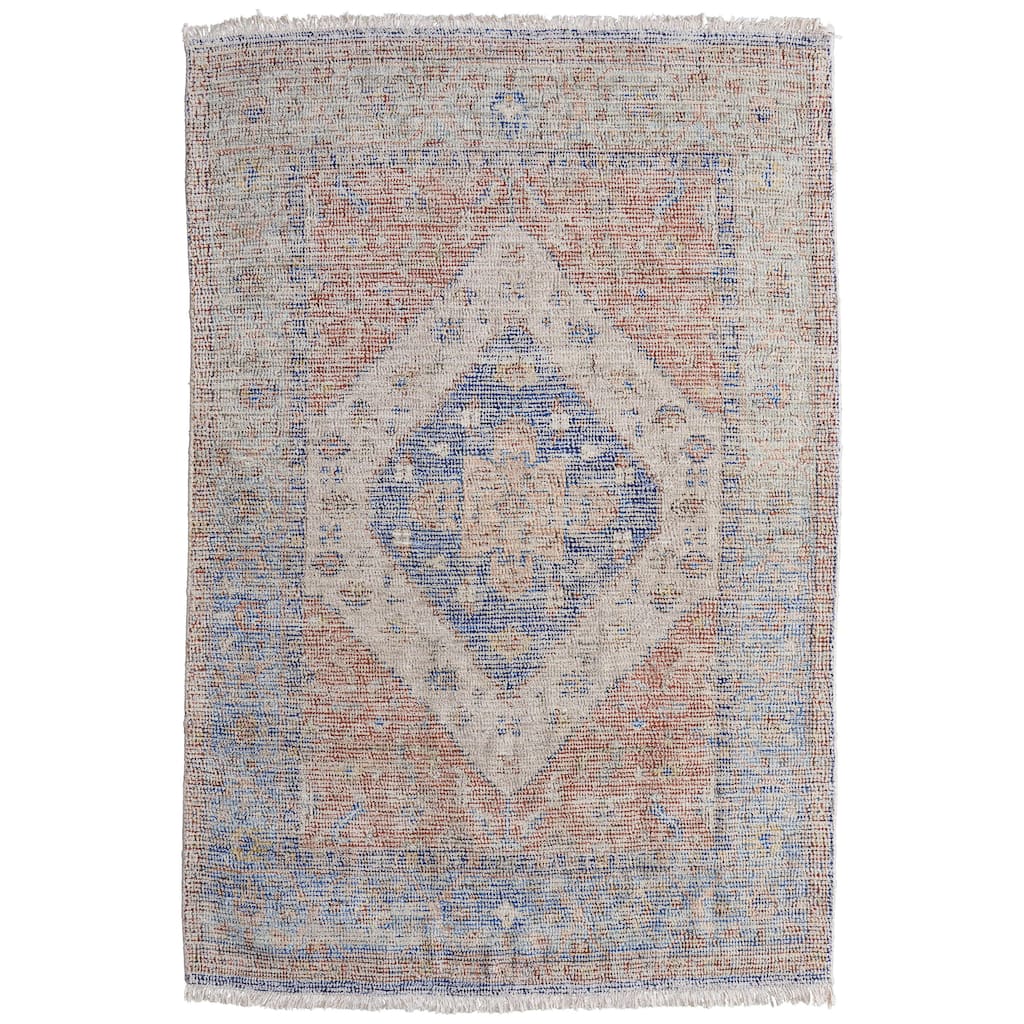 Grand Bazaar Ramey Hand Woven Distressed Transitional Area Rug