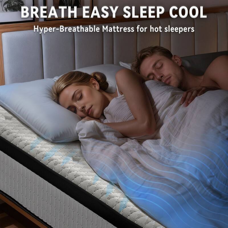 Meyreso 12-inch Hybrid Mattress with Memory Foam Comfort & Individually Wrapped Coils