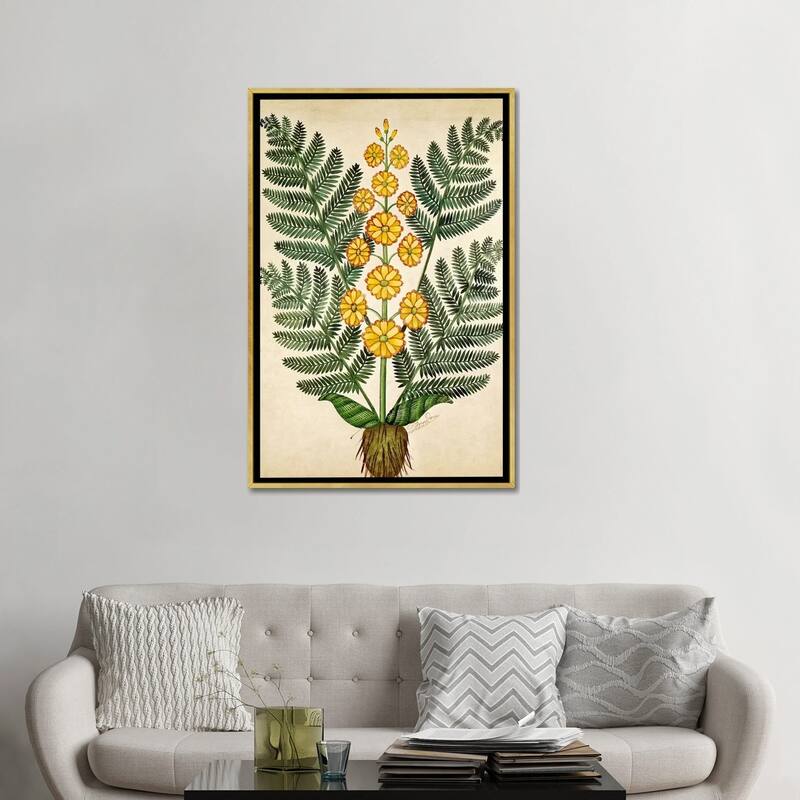iCanvas "Fern with yellow flowers, plate from a seed merchants in Oisans " by French School Framed
