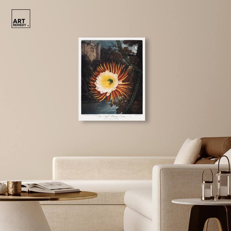 Night-Blowing Cereus 1807 Canvas by Art Remedy, Gallery Wrapped