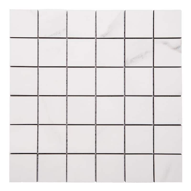 The Tile Life Carmine 2x2 Bianco Porcelain Floor & Wall Tile
