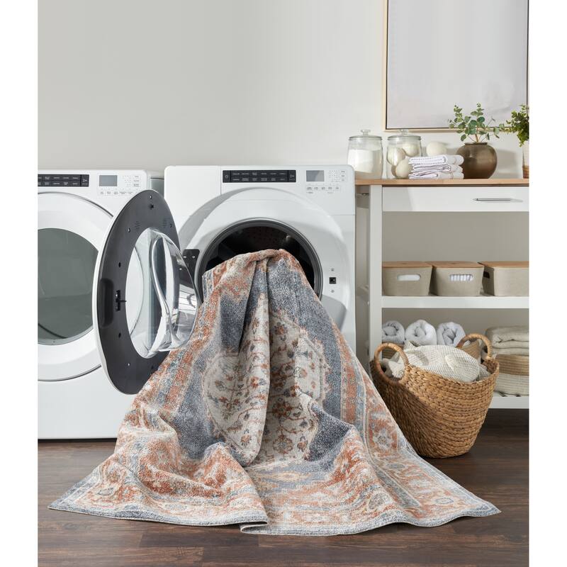 Nourison Astra Machine Washable Distressed Area Rug
