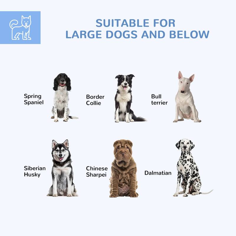 PawHut Dog Kennel Outdoor Dog Run with Lockable Door, for Medium and Large-Sized Dogs, Silver