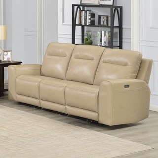 Copper Grove Dayton Top Grain Leather Power Reclining Sofa
