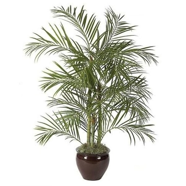 Autograph Foliages W-2700 - 6 Foot Areca Palm Tree - Green