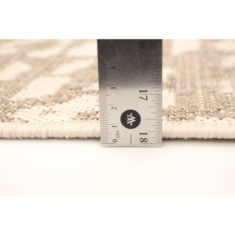 ECARPETGALLERY Sisal Safari Indoor/ Outdoor Rug