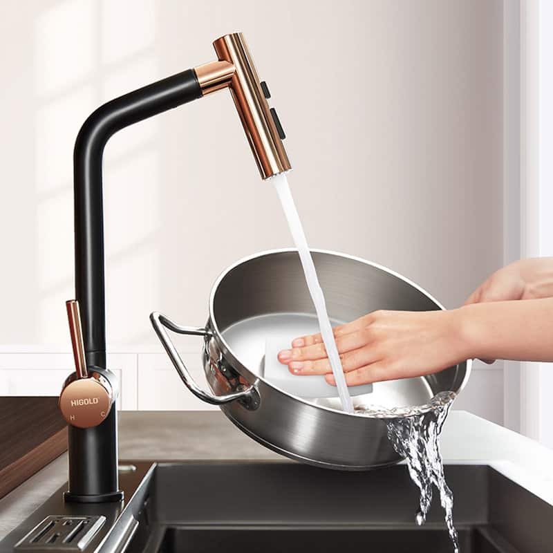 HIGOLD Kitchen Faucet with Pull Down Sprayer, Cold & Hot Water Function