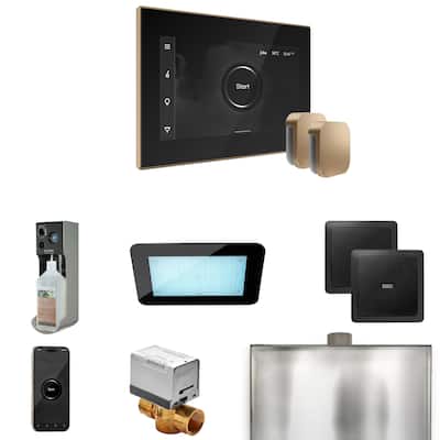 Mr Steam XDRM2X Xdream Max Package Steam Shower Control Package with