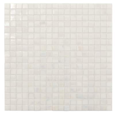 Apollo tile 12" x 12" Skosh Glossy Dark Bone White Glass Tile (18.69 sq ft/case) - 20 Pack