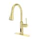 Option Brushed Gold