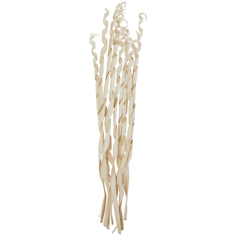Palm Leaf Palm Leaf Tall Rolled Natural Foliage - Cream - Roche River Decor - 3"W x 8"L x 45"H