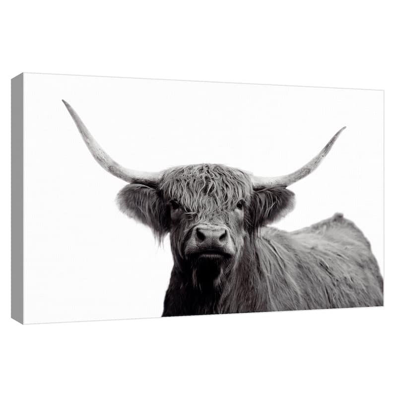 Highland Mist by Bill Philip Canvas Art Print by Bill Philip Canvas Art Print
