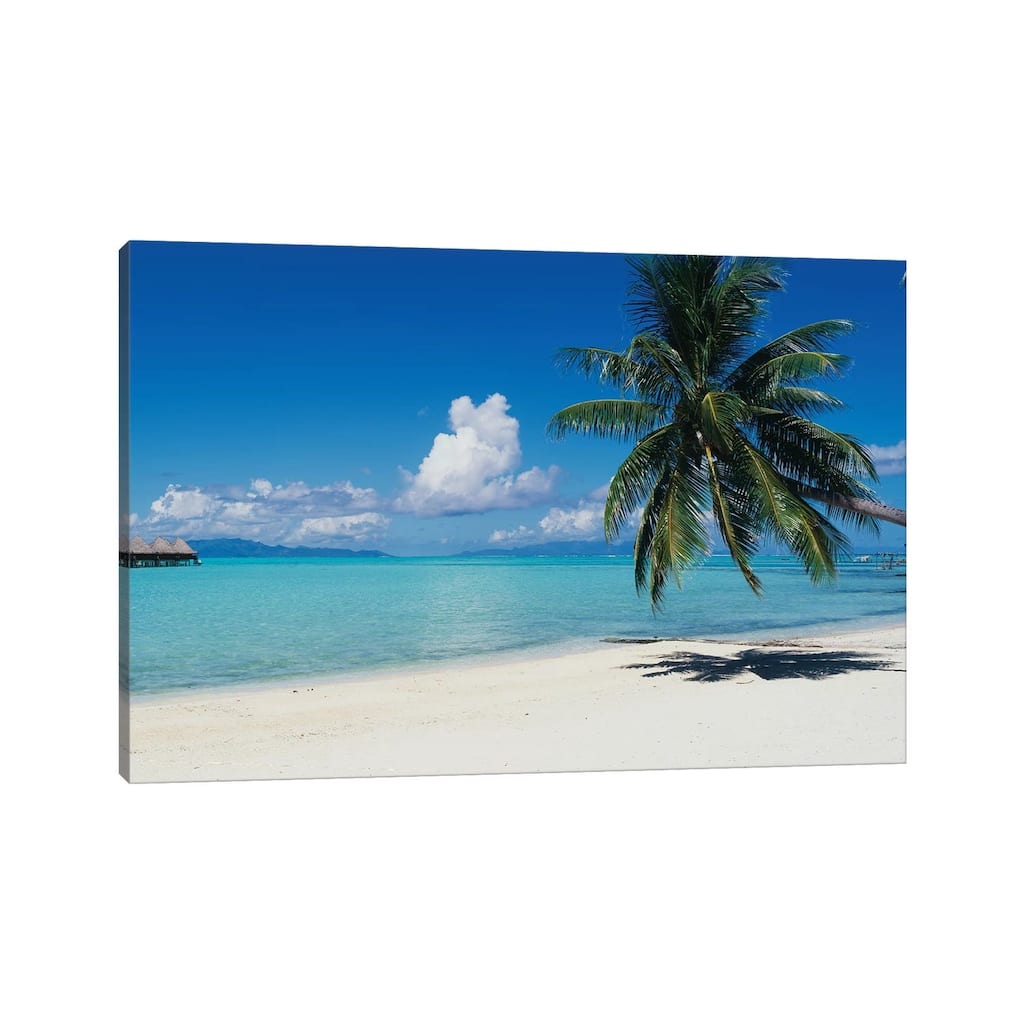 iCanvas "Palm Tree On The Beach, Moana Beach, Bora Bora, Tahiti, French Polynesia" by Panoramic Images Canvas Print