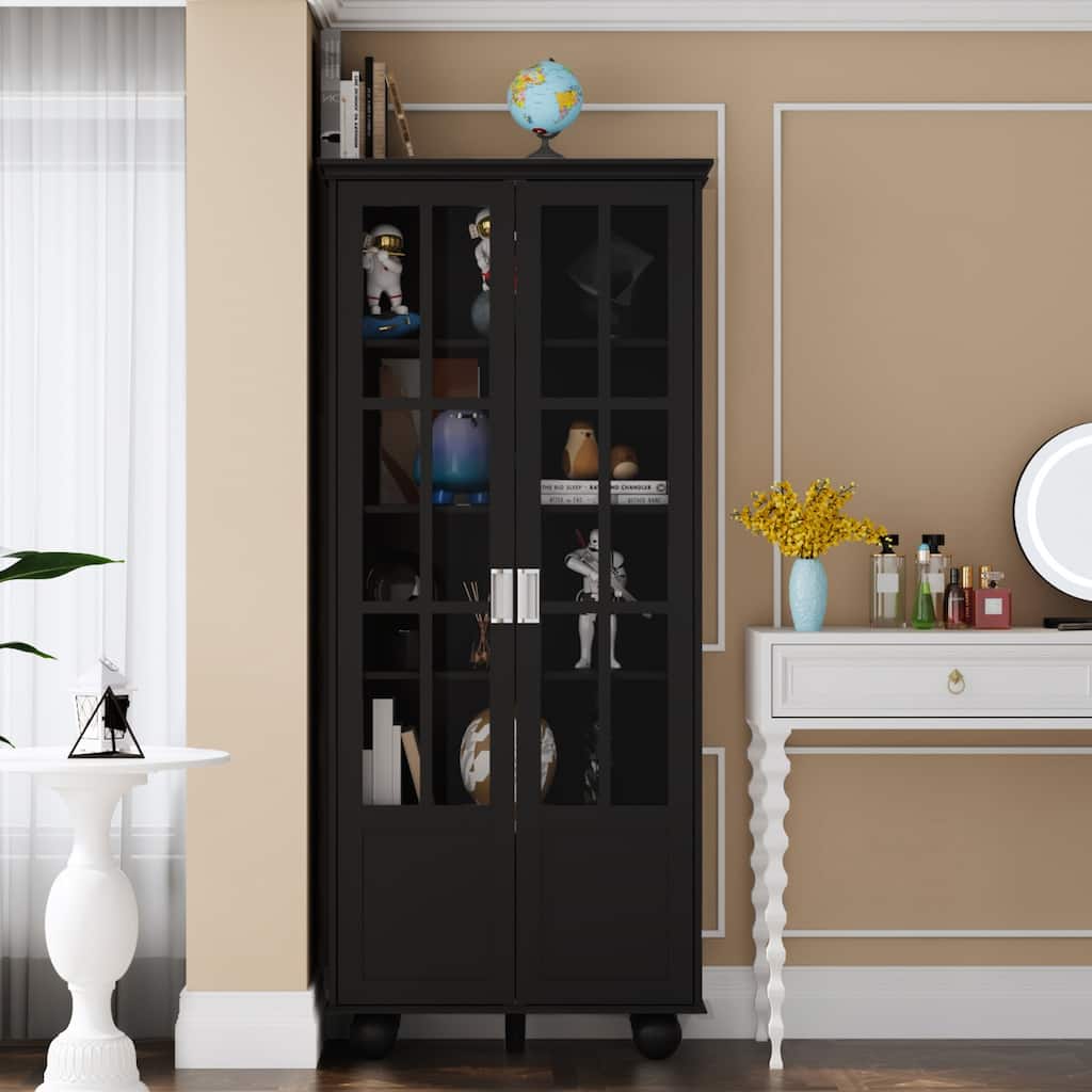 Media/Storage Cabinet - Acrylic Glass Pane Doors, Stores Optical Media