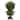 30" Cedar Artificial Tree in Iron Colored Urn (Indoor/Outdoor) - 12.5"