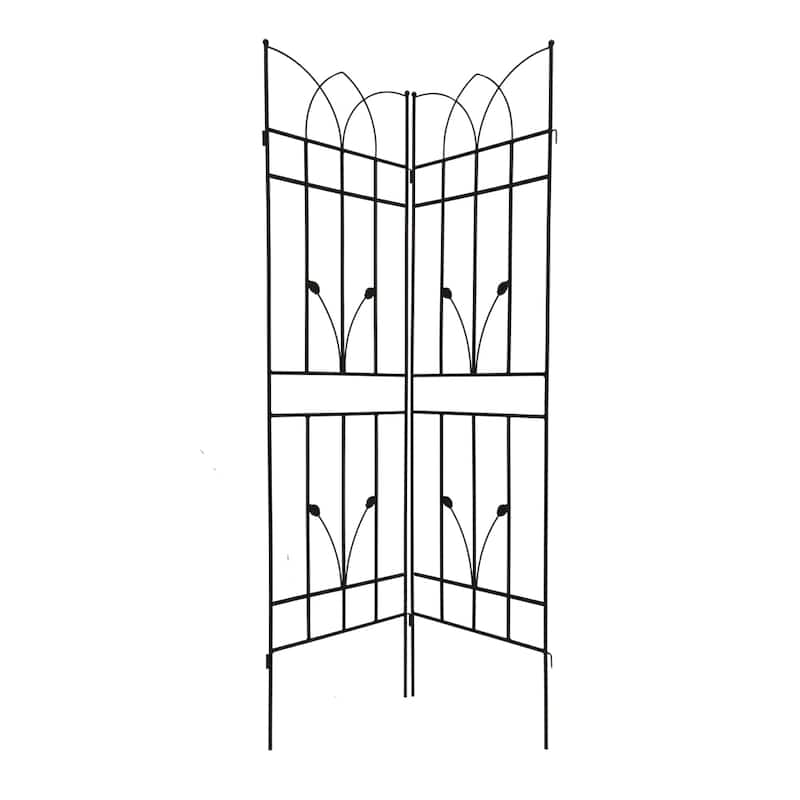 2 Pack Metal Garden Rustproof Trellis for Climbing Plants
