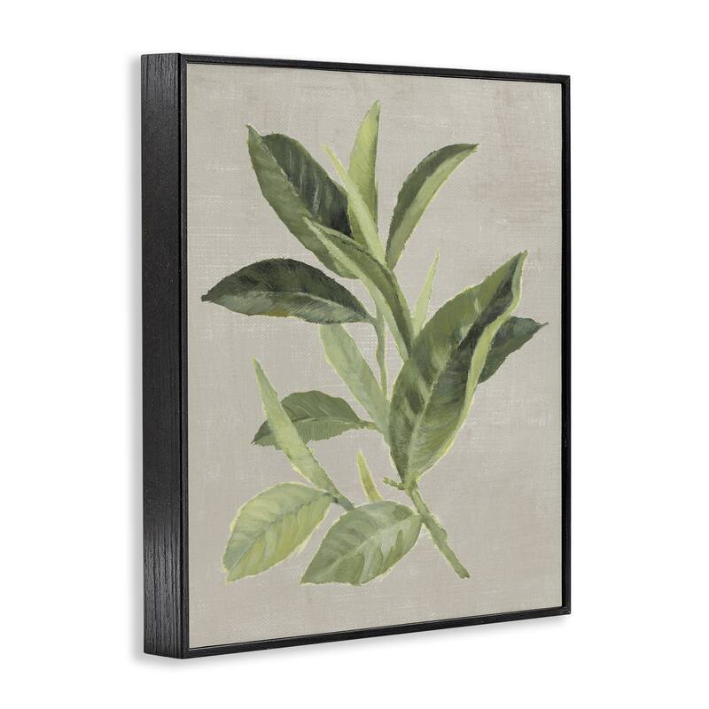 Stupell Green Tea Plant Leaf Framed Giclee Art Design By Lanie Loreth