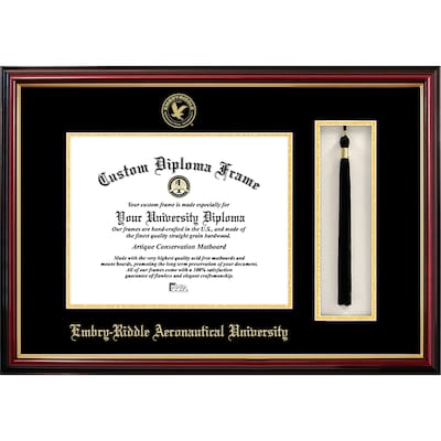 Embry-Riddle University 11w x 8.5h Tassel Box and Diploma Frame