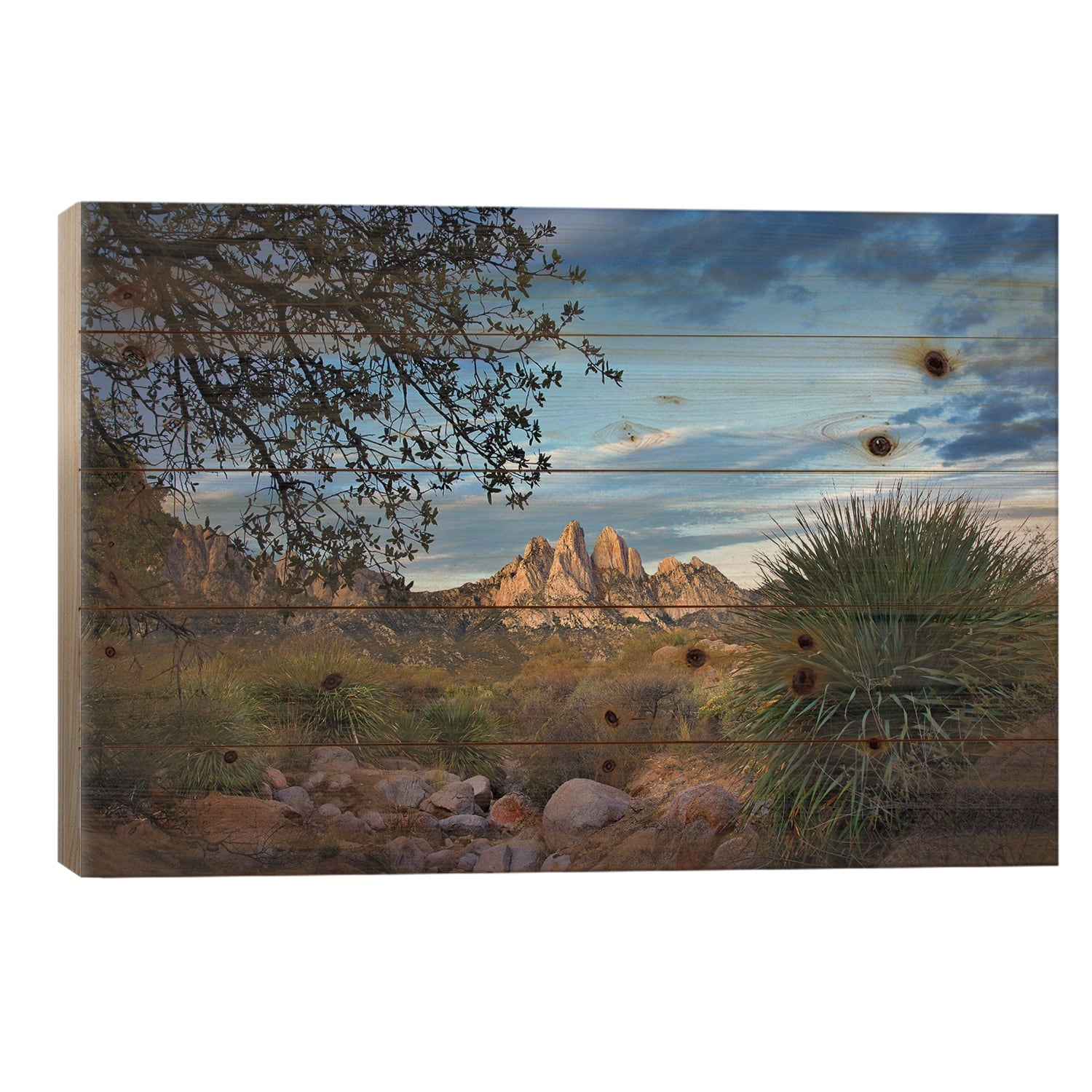 Organ Mountains Near Las Cruces, New Mexico I Print On Wood by Tim ...