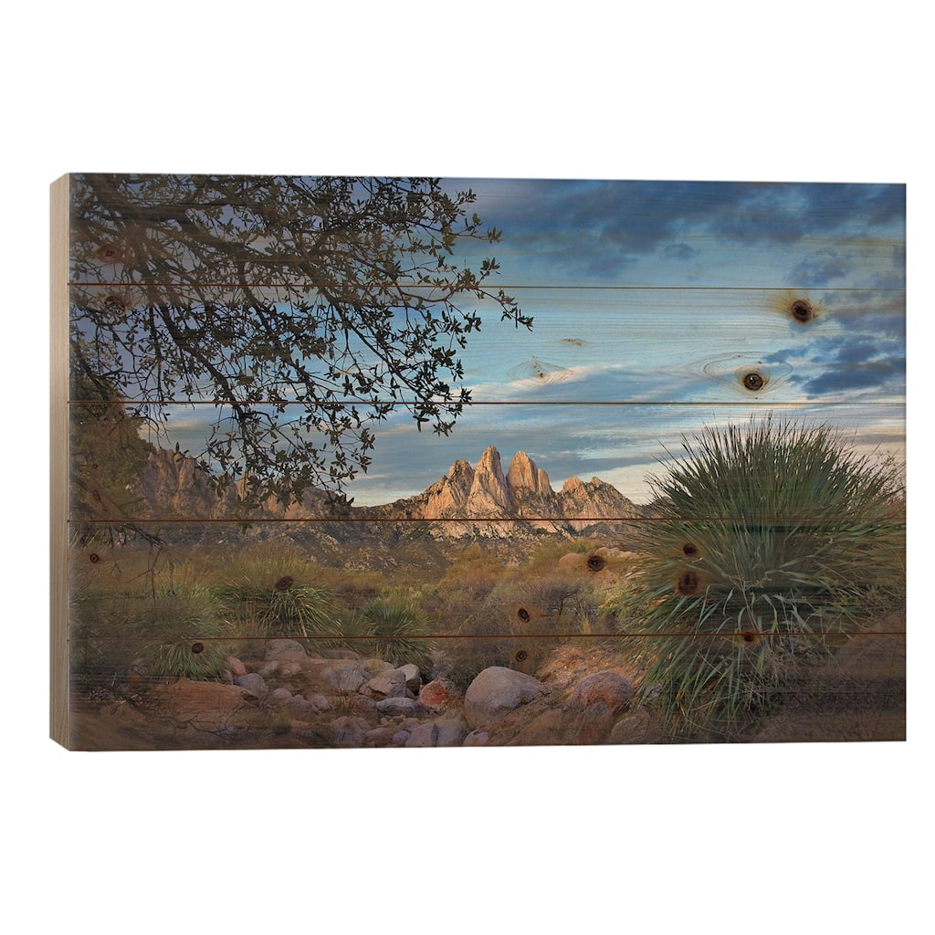 Organ Mountains Near Las Cruces, New Mexico I Print On Wood by Tim Fitzharris - Multi-Color