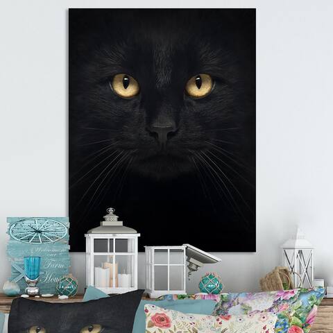 Designart 'Black And White Cat Portrait' Traditional Canvas artwork