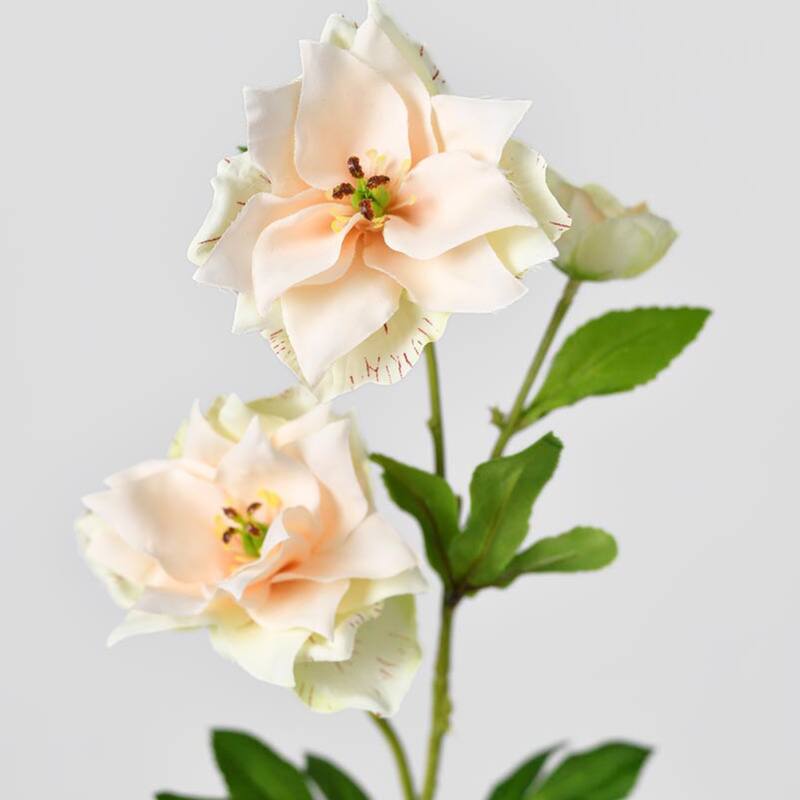 Silk Decorative Artificial Persian Buttercup(Pack of 1 Branch)