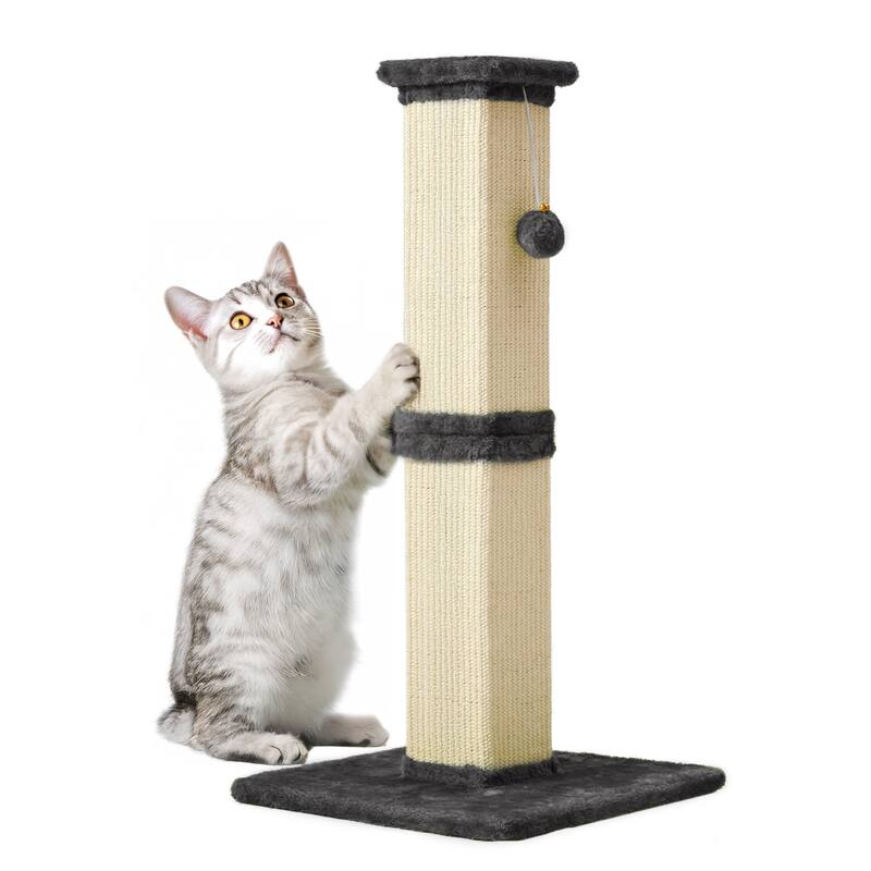 32" Tall Cat Scratching Post with Hanging Ball Toy, Sisal Scratch Post for Large Cats & Kittens