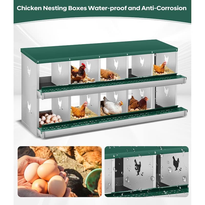 10 Compartment Nesting Box, Chicken Laying Box, Easy to Clean and Install