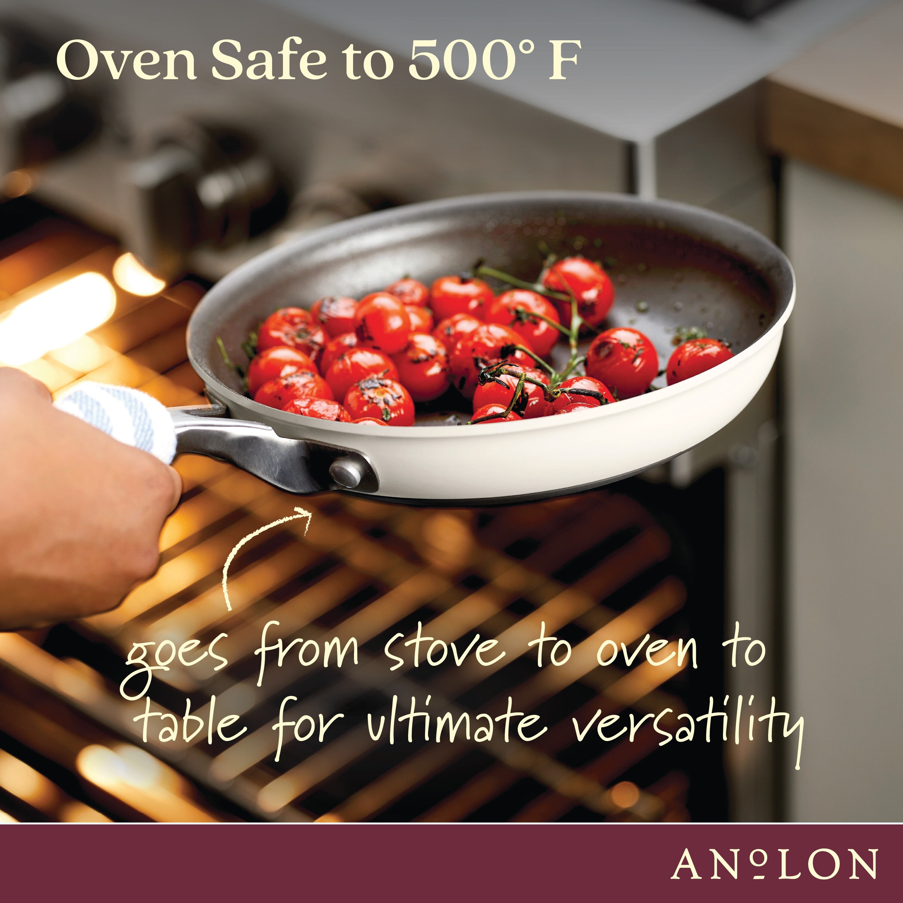 https://ak1.ostkcdn.com/images/products/is/images/direct/f7234c14756337ff96c1112030922b25e85d53cf/Anolon-Achieve-Hard-Anodized-Nonstick-Frying-Pan%2C-12-Inch.jpg