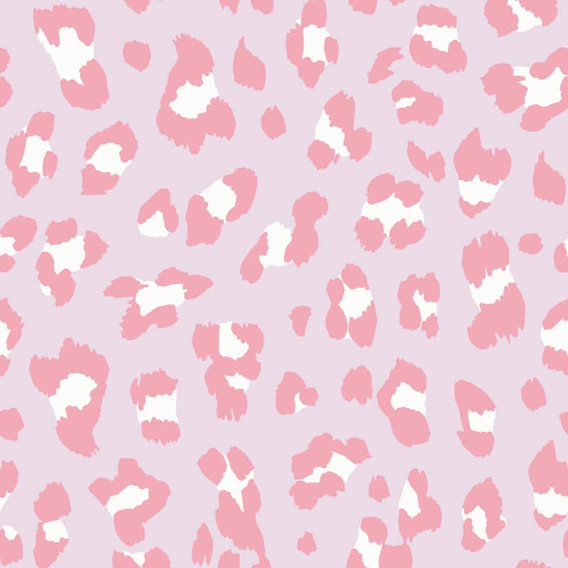 Envy Big Cat Candyfloss Wallpaper